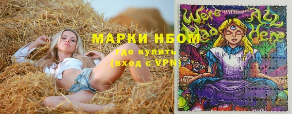 PSILOCYBIN Нефтегорск