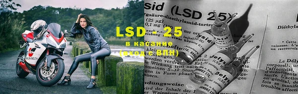 PSILOCYBIN Нефтегорск