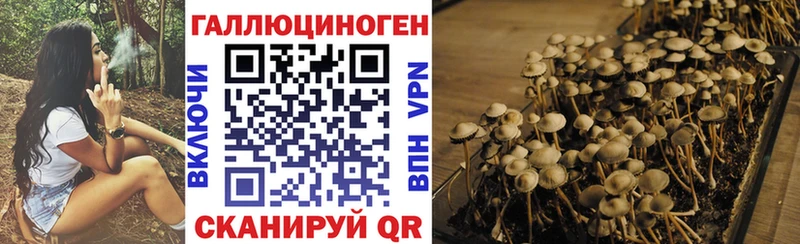 Галлюциногенные грибы GOLDEN TEACHER Приморско-Ахтарск