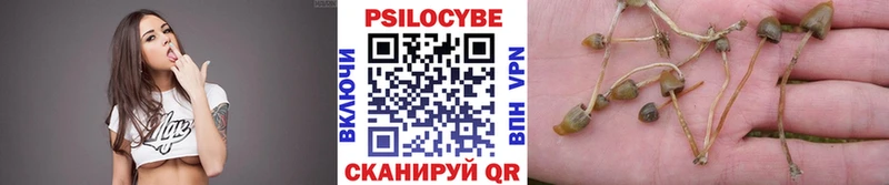 Псилоцибиновые грибы Psilocybe  shop официальный сайт  Приморско-Ахтарск  mega зеркало 